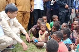 Menteri PKP: Secepatnya, pembangunan 2.200 rumah warga di Papua Pegunungan