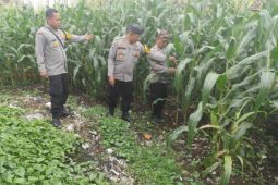 Polres Garut intensifkan patroli cegah pencurian hasil tani saat panen
