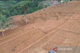 Kementan minta program cetak sawah baru di Bengkulu dipercepat
