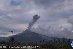 Gunung Lewotobi Laki-laki erupsi empat kali