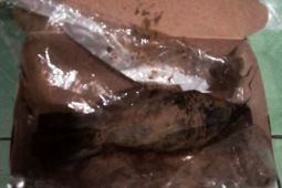 Penyelam sungai temukan mortir peninggalan perang dunia di Banjarmasin