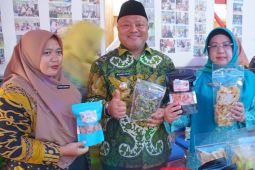 Pemkab Berau  ajak BUMDes turut majukan ekonomi kreatif