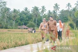 Jelang Panen Raya Pemkot Padangsidimpuan chek lahan pertanian Manunggang Jae