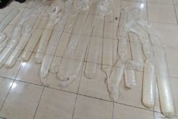 Polisi Jayapura gagalkan penyelundupan minuman beralkohol lokal dari Ambon