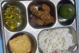 BGN sebut jumlah MBG harian dua dapur Jayawijaya 7.406 porsi