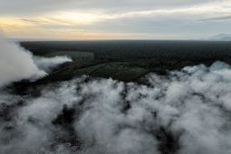 Karhutla di Aceh Selatan meluas capai 72 hektare