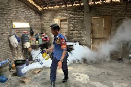 Dinkes Lampung Selatan pastikan lakukan pengasapan di daerah rawan DBD