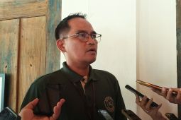 PLN tawarkan tiket Bali EV Fest lebih murah melalui PLN Mobile