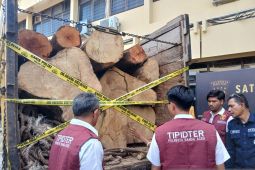 Polisi gagalkan penjualan kayu diduga dari hutan lindung di Aceh Besar