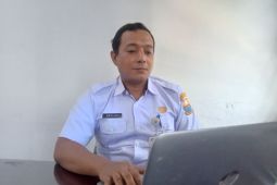 Dinas ESDM Jambi pastikan  seluruh desa teraliri listrik 2025