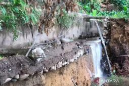 Mukomuko tangani darurat saluran irigasi jebol