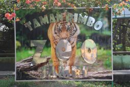 Taman Rimba  Jambi tambah koleksi harimau benggala dan singa afrika