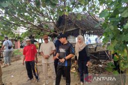 723 honorer Bengkulu lulus PPPK, 300 lainnya diusulkan paruh waktu