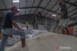 Kunci keberhasilan swasembada beras 2025