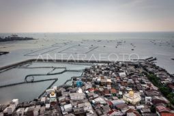 Apindo berharap keterlibatan pengusaha dalam proyek " tanggul laut raksasa"