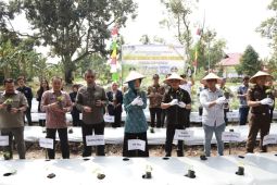 TPID Kuponwah serentak tanam cabai dan komoditas pangan