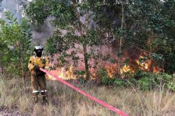 Kebakaran lahan di Bintan berhasil dipadamkan
