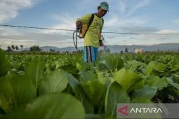 Kementan berikan pelatihan pemberdayaan pertanian terpadu di Sigi