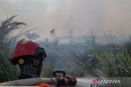 BNPB sebut tidak ada korban jiwa dalam karhutla di Simalungun