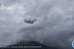 Gunung Lewotobi Laki-Laki kembali erupsi hari ini