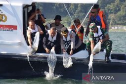 Pemkab Bangli tebar ribuan benih ikan nila di Danau Batur