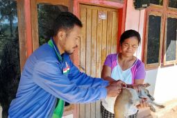 Pemkab Mabar vaksinasi HPR di 12 kecamatan guna cegah penyebaran rabies
