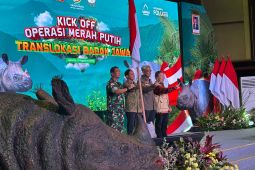 Forestry Ministry starts operation to translocate two Javan rhinos