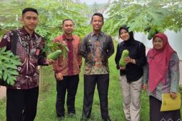 Ditjenpas Sulteng dorong WBP optimalkan ketahanan pangan di Rutan