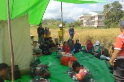 Panen padi bersama di Bengkayang Kalbar momentum perkuat ketahanan pangan