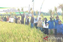 PT PAMA, JMB, dan KMIA bersama kelompok tani  Panen Raya