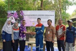 Pertamina Sumbagsel gelar pelatihan pulihkan konservasi flora Babel
