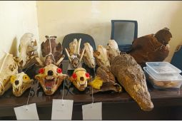 Kemenhut bongkar jaringan perdagangan satwa liar antarpulau di Malang