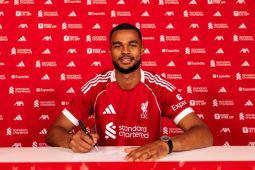 Liverpool perpanjang kontrak Cody Gakpo