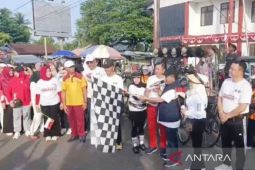 Bupati Kapuas berolahraga bersama ribuan peserta Jalan Sehat Merdeka
