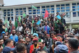 Dewan Adat Saireri: Pentingnya menjaga dialog damai setiap aksi demo