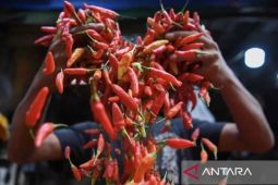 BPS: Deflasi Kota Malang dipicu penurunan harga produk hortikultura