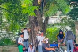 Dinas Pendidikan Jambi cegah  siswa gabung aksi unjuk rasa