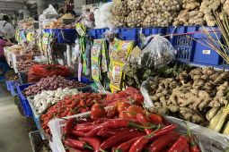 BPS Bali sebut kelompok makanan penyumbang utama deflasi pada Agustus