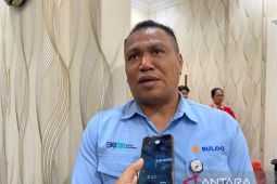 Perum Bulog: stok beras di Papua aman hingga empat bulan ke depan