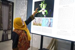 Unigoro ajak masyarakat lestarikan anggrek spesies endemik hutan jati