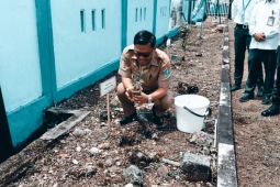 DLH dan RRI Biak perbaiki kualitas udara dengan menanam pohon