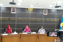 Gerakan "brave pink" di medsos dapat dukungan Komnas Perempuan