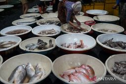 Dokter gizi jelaskan peran penting protein untuk proses tumbuh dan kembang anak