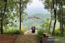 Hutan Pinus Pengger, Wisata asri nan-menawan