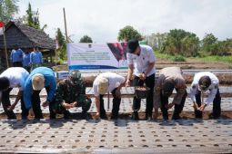 Lombok Utara tanam bawang merah jaga inflasi
