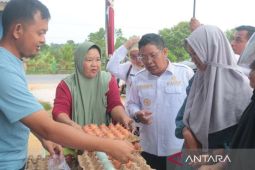 Bangka Tengah gandeng Bank Indonesia gelar GPM di setiap desa