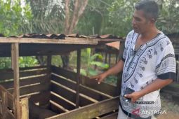 Sampan Kalbar jadikan silvopastura Teluk Bakung Kubu Raya model ekonomi lestari