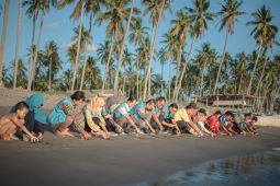 PLN Indonesia Power hadirkan wisata penyu