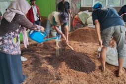 Pemkab Probolinggo tingkatkan kualitas kopi petani di lereng Argopuro
