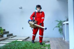 Petrokil hadirkan solusi pengendalian hama bersertifikat yang aman dan berkelanjutan